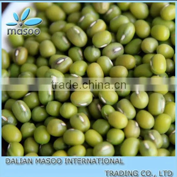 High qualtiy Green Mung Bean for sprouting,2012 crop
