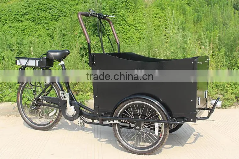 Electric safety box trike with canopy