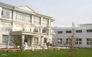 Foshan Shunde Qiersheng Grinding Material Co., Ltd. company overview - view 1