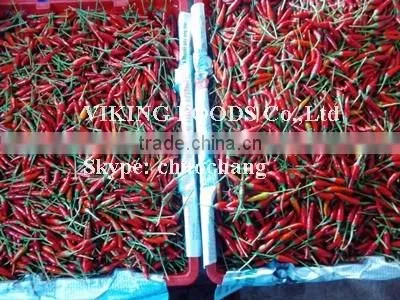 SMALL CHILI HIGH QUALITY FROM VIETNAM