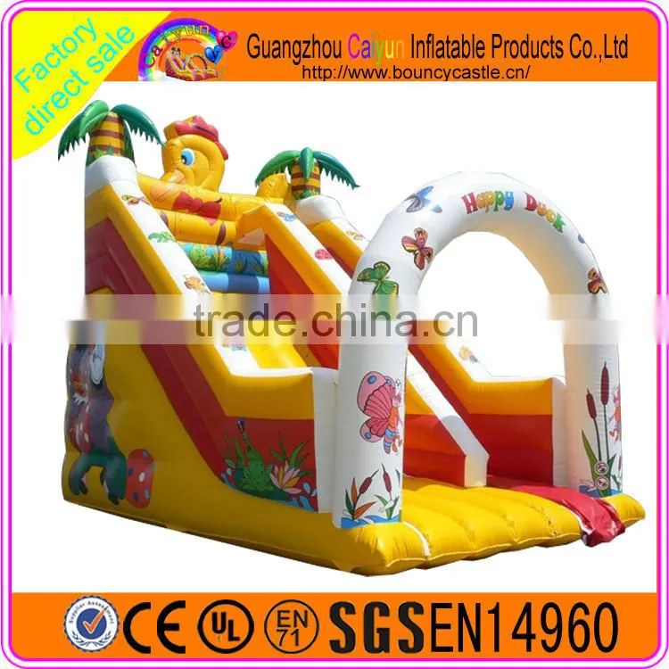 Funny carton design inflatable plastic dry slide