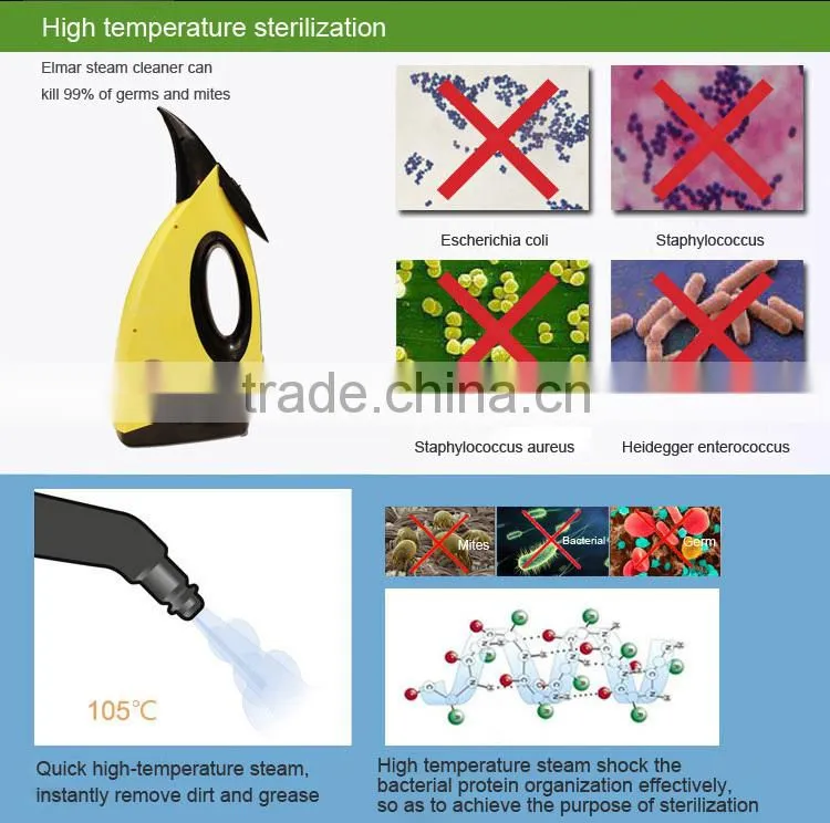 steam cleaner