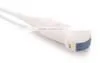 Brand New Ultrasound Machine 3d/4d With High Quality