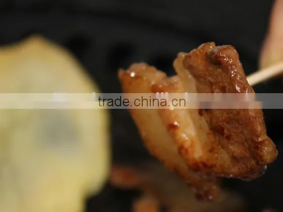 High Quality Portable Grill Cook Plate