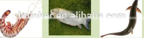 Tilapia powder making machine