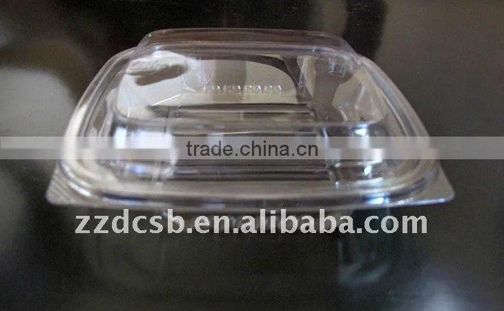 PET clear plastic frozen food tray