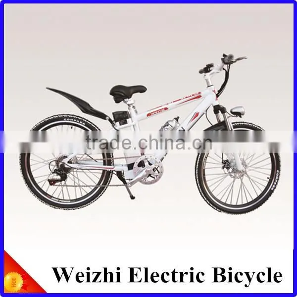 Weizhi Electric Bicycle 48V 10Ah Lithium Battery