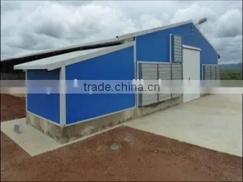 full-auto color plate chicken house for layer or broiler