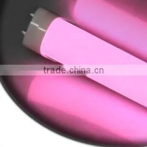 Pink color LED Retrofit T8 Tube Lights