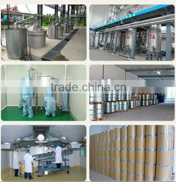 Best Quality Vegetable Extract Garlic Extract/ nautral garlic oil