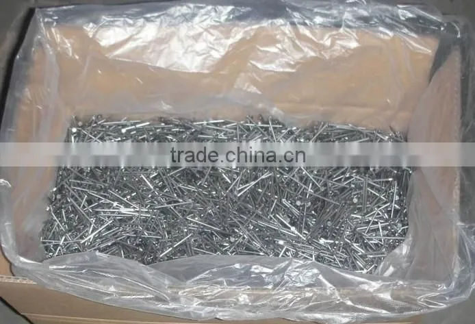 Bright smooth shank common iron nail