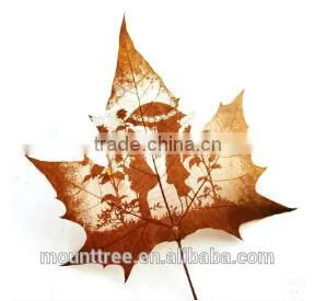 Natural leaf carving picture - Mona Lisa smile * foreign affairs gifts * world famous paintings