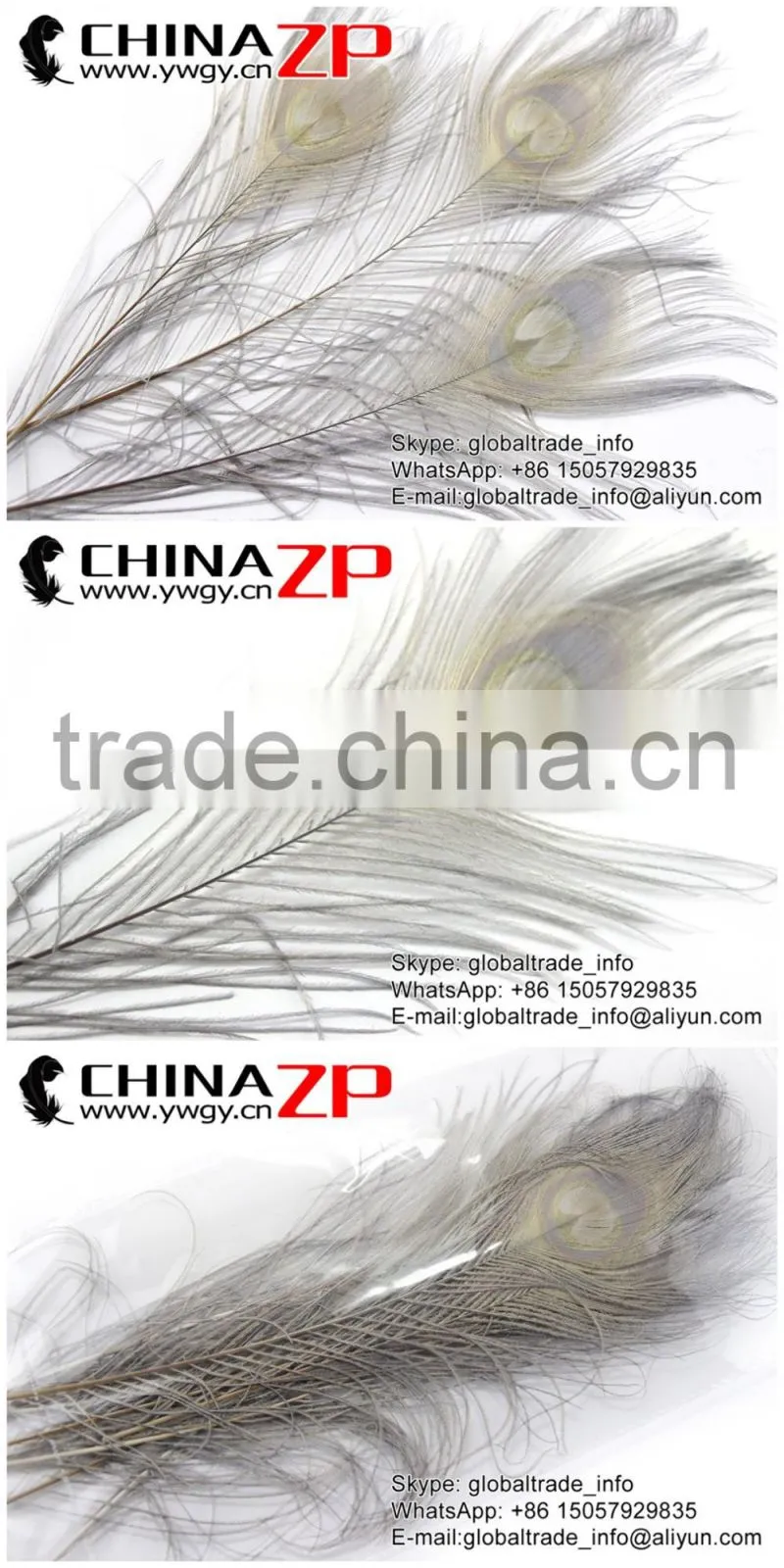 CHINAZP Leading Supplier Wholesale Cheap Full Eye Dyed Grey Long Peacock Tail Feathers