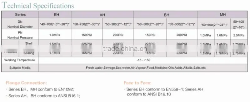 DN300 PN 16 Ductile Iron Body&Disc Wafer Type Butterfly Check Valve