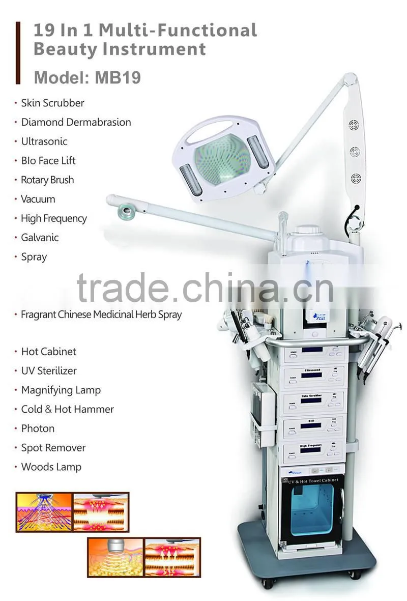 19 in 1 Beauty Salon Skin Care Multifuntional Beauty Aesthetic Device