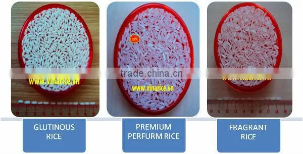 JAPONICA RICE - calrose rice - 2014- sona4@vinarice.vn