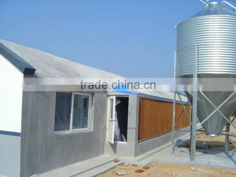 Meat chicken poultry feeding line