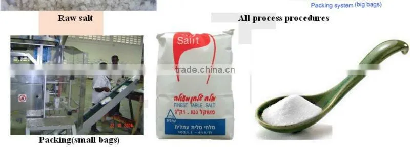 Table salt making machine