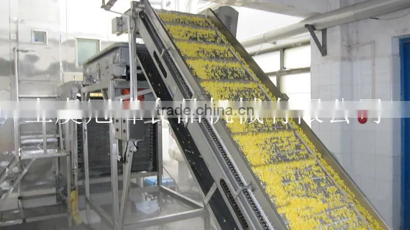 Professional food industrial green bean frozen production line