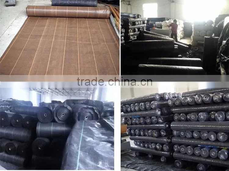 PP woven weed control mat