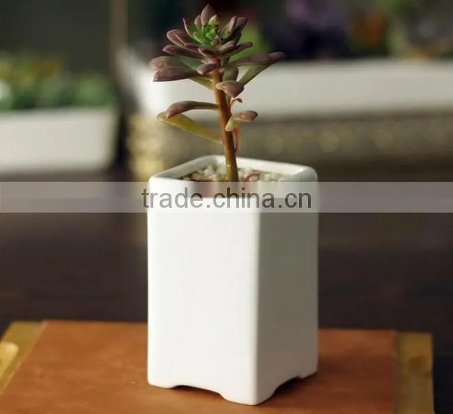 Rustic home decor white glazed mini rectangular ceramic planter