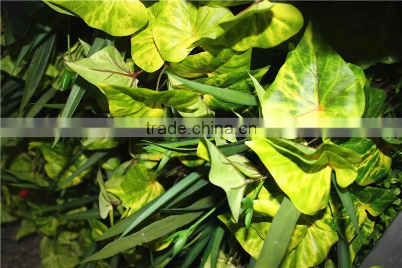 stickers home garden deco 200*200 cm indoor or outdoor artificial corner succulent green climbing plant wall Ezwq10 106
