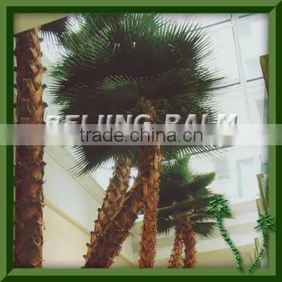 dry palm frond,preserved palm frond,artificial leaf