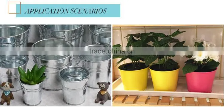 best plants for pots galvanized outdoor planters