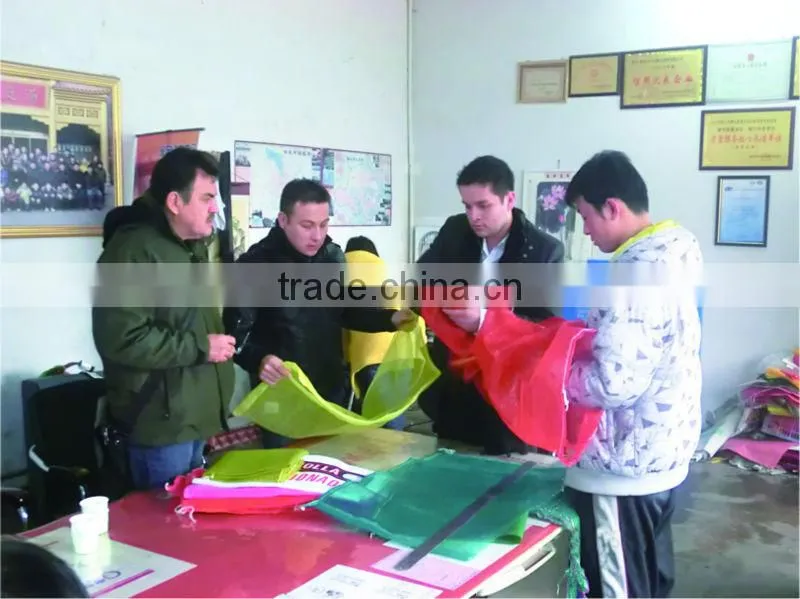 packing pp mesh,raschel bag