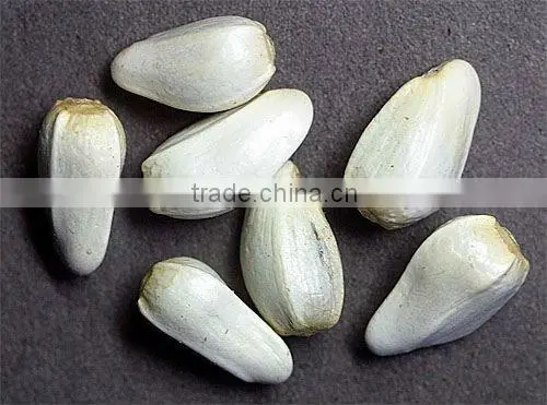 organic safflower seeds for oil