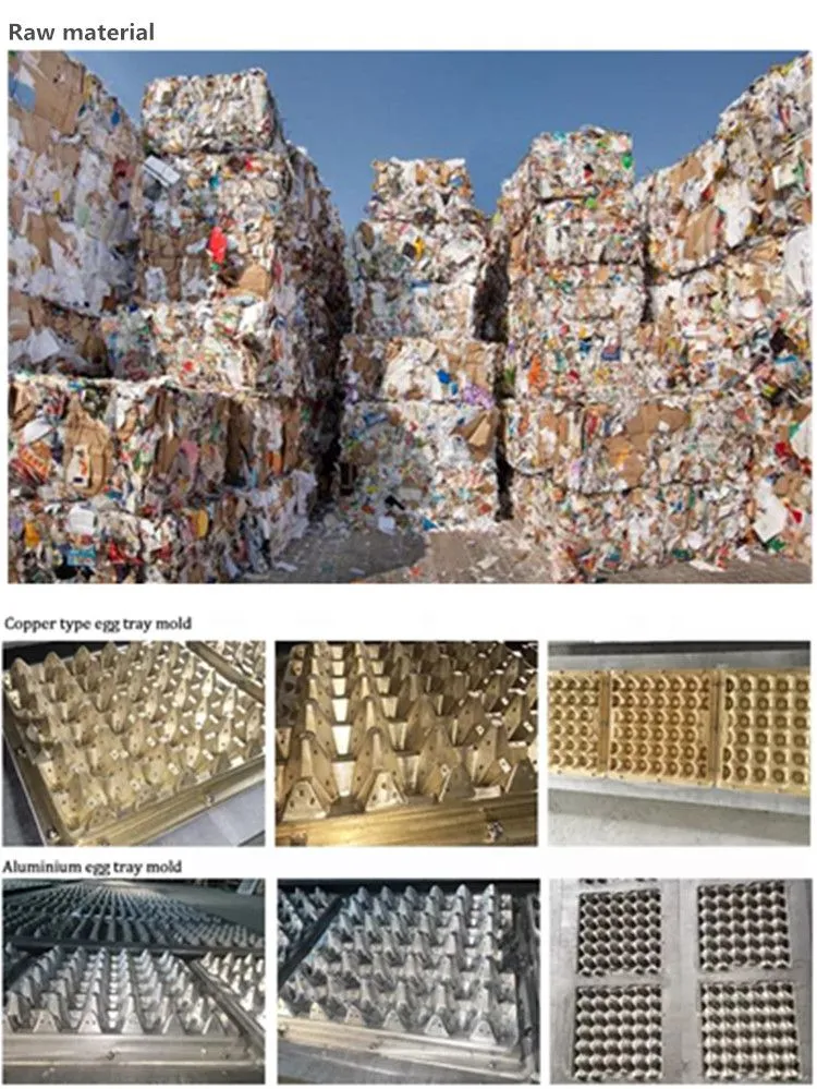 Commercial Paper Pulp Egg Tray Processing Plant8