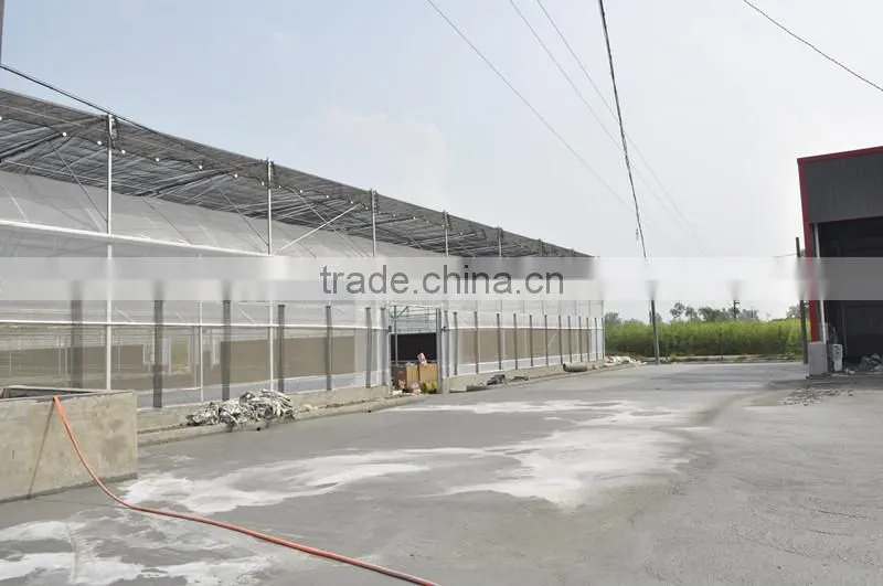 Greenhouse Net Covered Outside