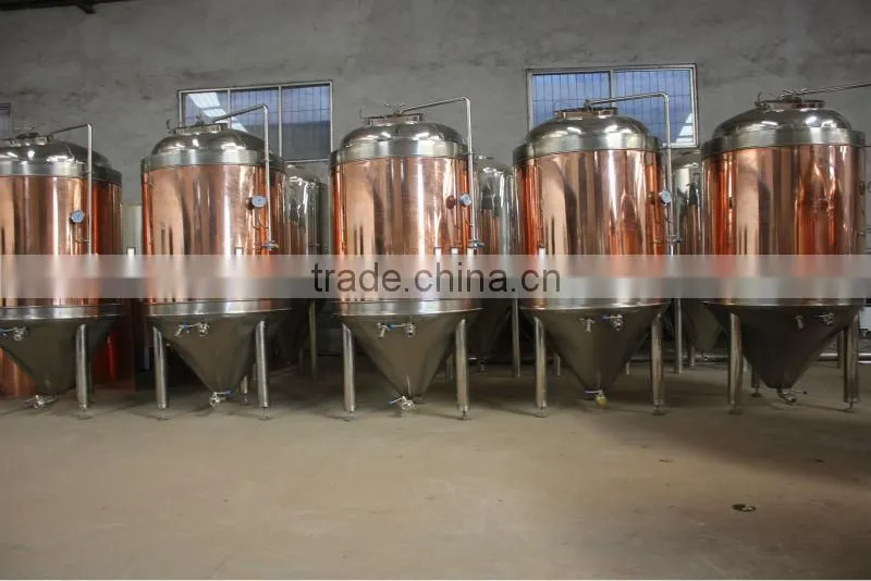 Small home brewing machine and Pub brewery , 2014 Hot Sale Home Brewery equipment, Best kettle and conical fermenter,