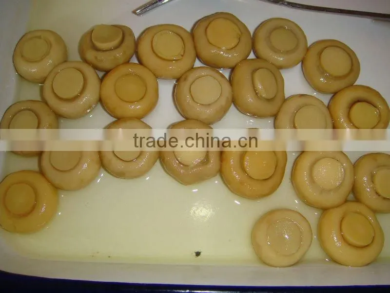 canned button mushroom