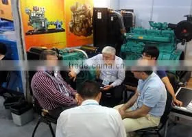 LD60GF 75kva 50hz Generator with Super Silent Canopy