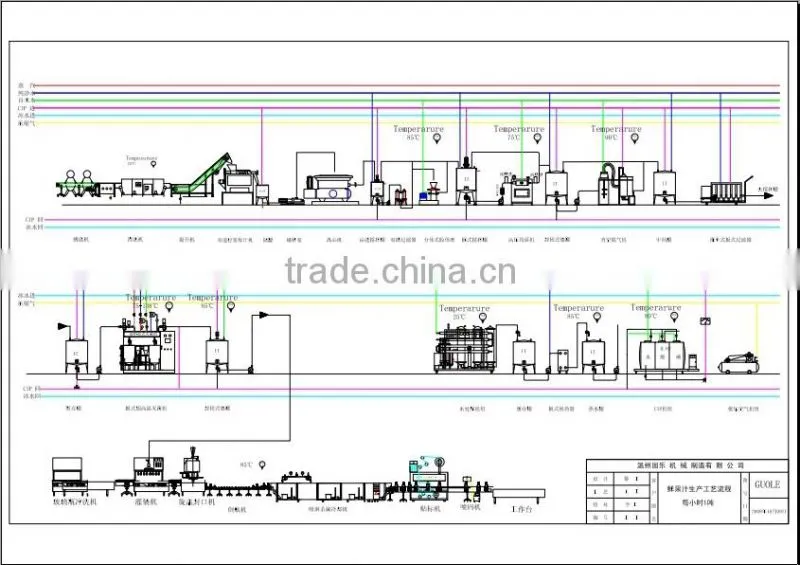 PET bottle hot filling fruit juice line