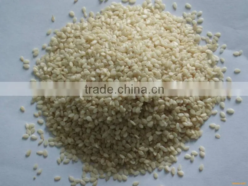 Natural GMP hot sale sesame seeds extract powder