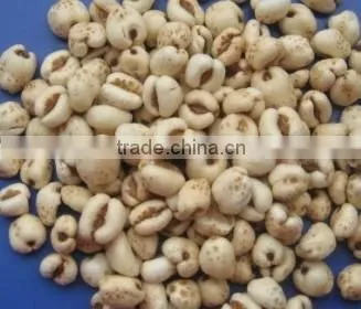 high quality gas rice puffing machine