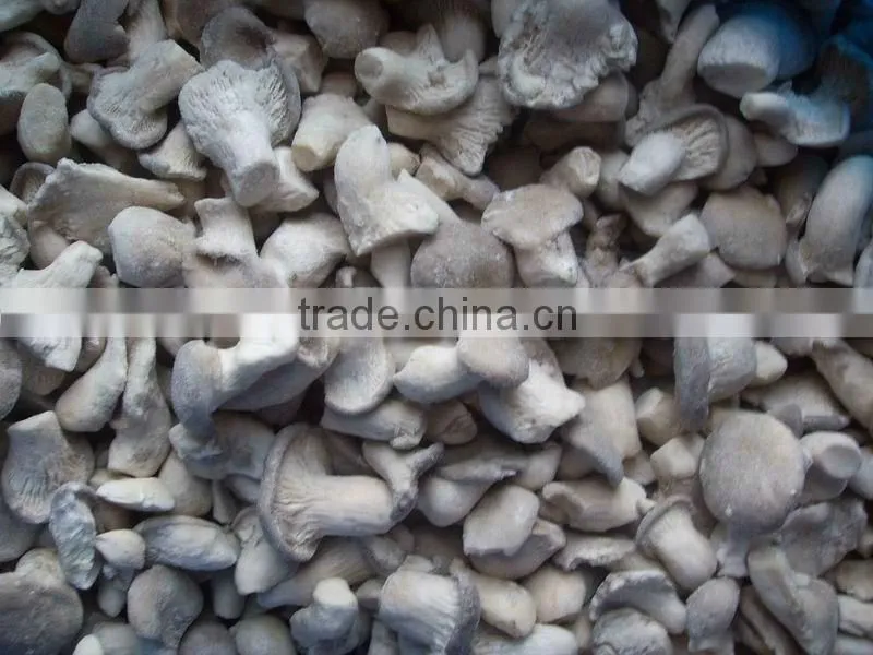 Export IQF Baby Oyster