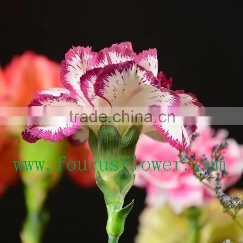Best Quality Hot Sale Dried Flowers Red Wedding Invitations Real Touch Flowers