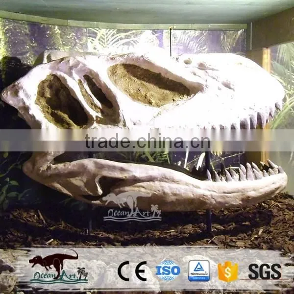 OA-SD-L02 Original Jurassic Skeleton Real Size Dinosaur Head Fossils