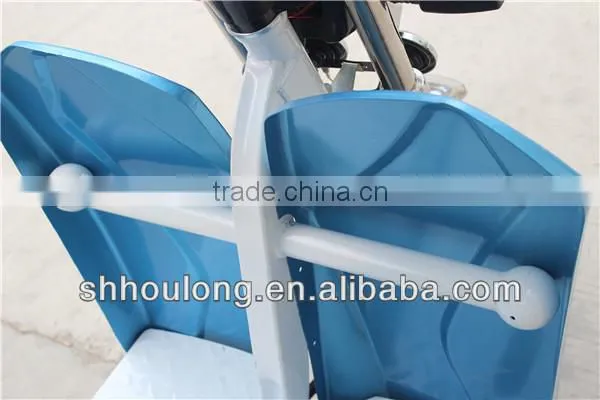 ROMAI 850w passenger e-rickshaw with roof