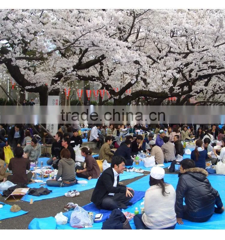 Waterproof PE tarpaulin PE plastic eyelets tarpaulin PE sheet tarpaulin cover polyethylene woven