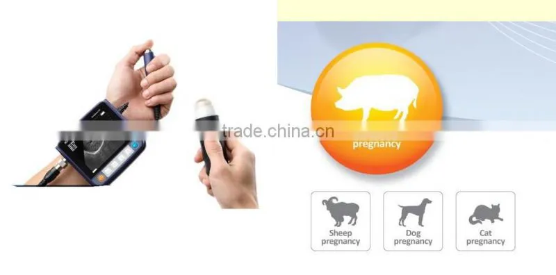CE ISO mark Veterinary ultrasound scanner for vet Big and small animal use for pregnancy equine
