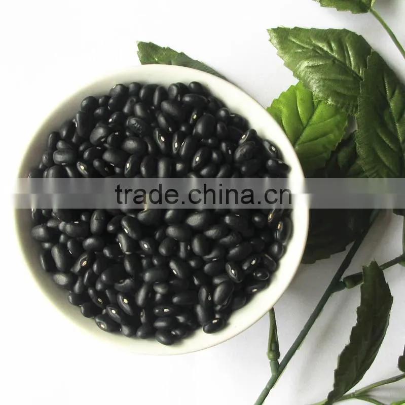 Dired china bean for sale in alibaba for Black bean for sale