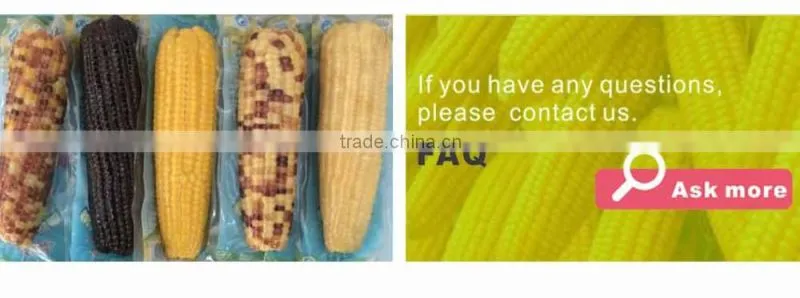 Frozen vegetables of sweet corn kernels