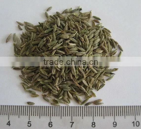 New crop cumin seeds