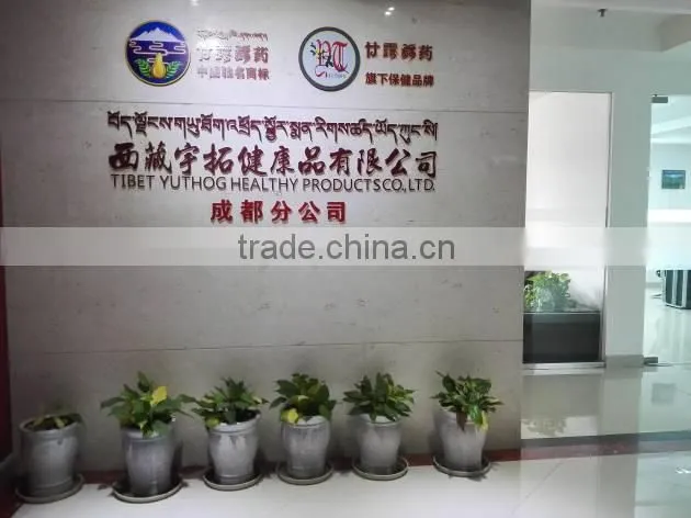 Tibet Yuthog Healthy Products Co., Ltd. company overview - view 2