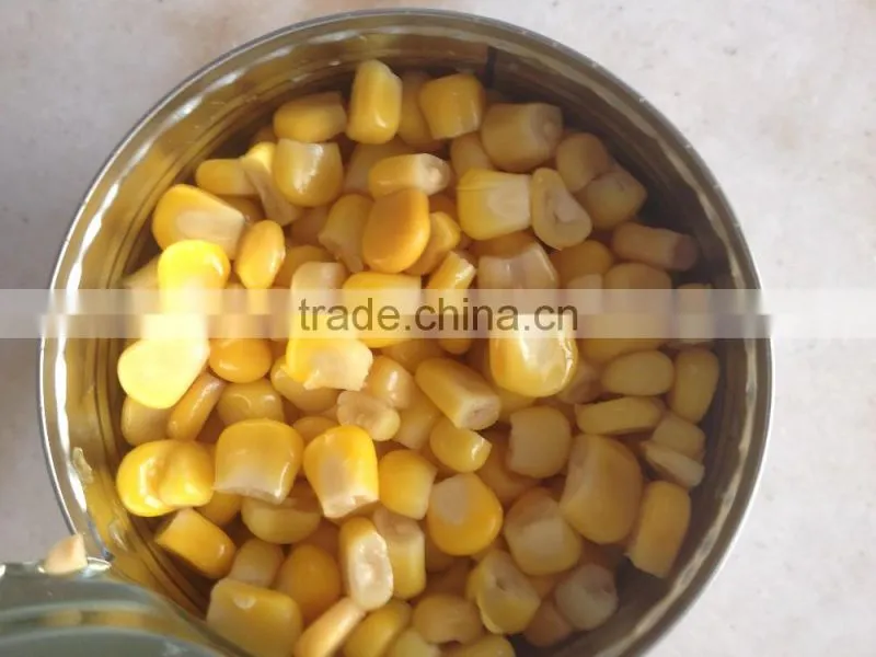 High Quality Canned Sweet Corn Kernel