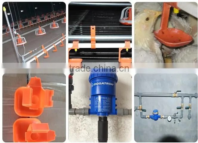 advanced design automatic farming equipment for broilers and chickens